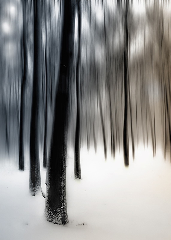 Ex 1 Pfalz Puppe 09 IMG_4277 Kopie.jpg -                                